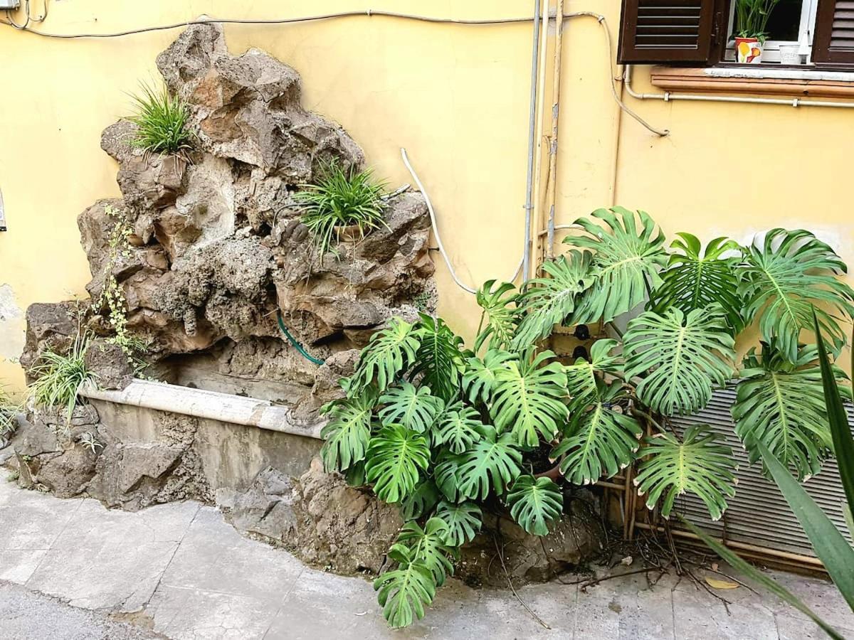 Apartment St Peter Charming House Rome